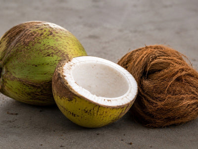 From Coconut Waste to Your Doorstep: The Re-Coco Story