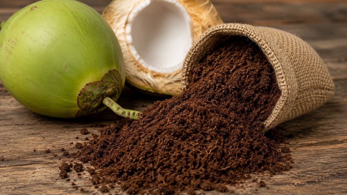 The Ultimate Guide to Repotting Your Plants with Coco Peat