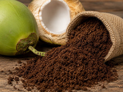 The Ultimate Guide to Repotting Your Plants with Coco Peat