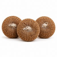 Coir Scrubber