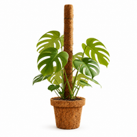 Moss Sticks