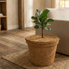 Re-Coco Shield Coir : Mulch Mats