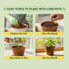 Re-Coco Nest : Coir Pots with Metal Holder
