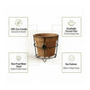 Re-Coco Eco Desk : Indoor Plant Options in Coir Pot with Metal Holder