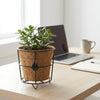 Re-Coco Eco Desk : Indoor Plant Options in Coir Pot with Metal Holder
