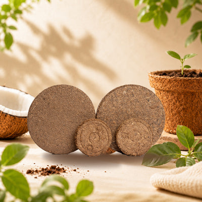 Re-Coco Mitti : Coco Peat Coins
