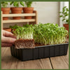 Re-Coco Sprout : Microgreen Sheets