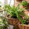 Re-Coco : Hanging Liners with Metal Holder