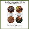 Re-Coco Sprout : Microgreen Sheets