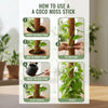 Re-Coco Trunk - Rise Moss Stick