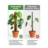Re-Coco Trunk - Rise Moss Stick