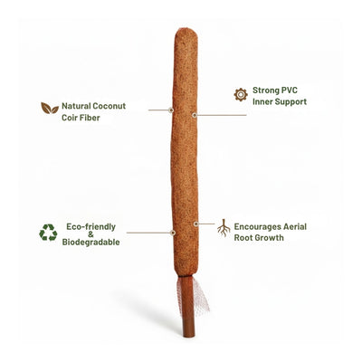 Re-Coco Trunk - Growth Moss Stick