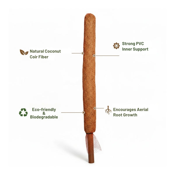 Re-Coco Trunk - Growth Moss Stick