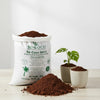 Re-Coco Mitti : Loose