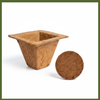 Re-Coco  : Spanish Cup