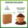 Re-Coco Mitti Coco : Peat Blocks