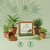 Re-Coco Mitti Coco : Peat Blocks