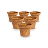 Re-coco : Seedling Cup