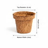 Re-coco : Seedling Cup