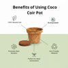 Re-coco : Seedling Cup