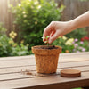 Re-coco : Seedling Cup