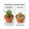 Re-Coco Shield Coir : Mulch Mats
