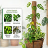 Re-Coco Trunk - Rooted Extendable Moss Stick