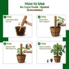 Re-Coco Trunk - Rooted Extendable Moss Stick