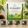 Re-Coco Mitti+ : Compost & Essential Pot Mix