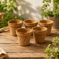 Re-coco : Seedling Cup