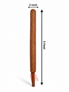 Re-Coco Trunk - Rise Moss Stick