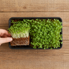 Re-Coco Sprout : Microgreen Sheets