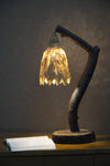Re-Coco Nature-Inspired Wooden Table Lamp