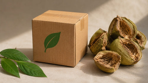 Sustainable Delivery