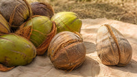 Sourced & Sun-Dried