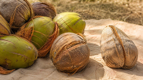 Sourced & Sun-Dried