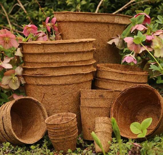 OnPaste.20250919-123647