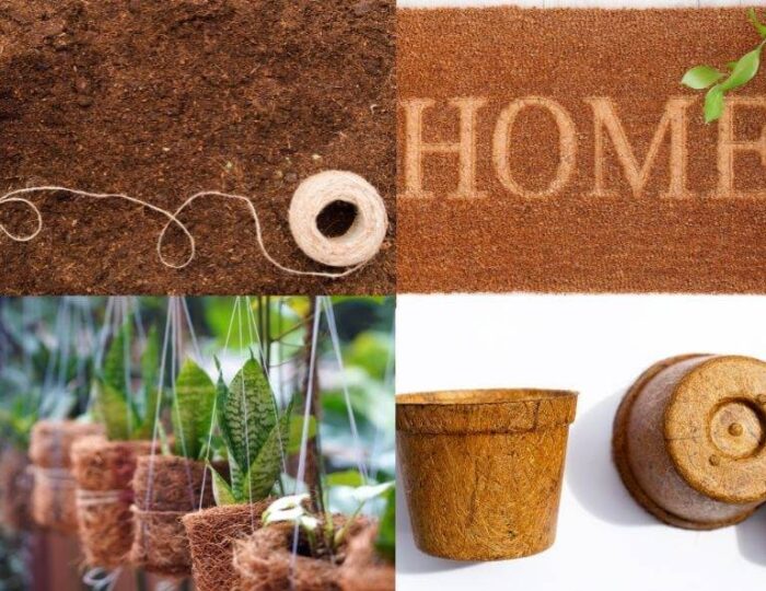 OnPaste.20250919-123721