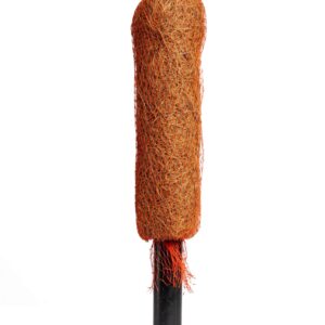 Re-Coco Trunk – Coir Stick