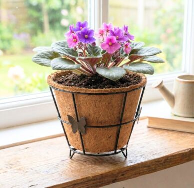 Re-Coco Nest- Coir Pots