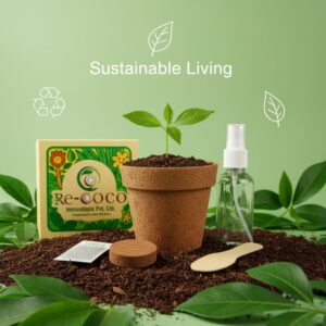 Re-Coco Mini Magic – DIY Grow Kit & Eco Gift